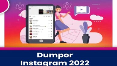 This is Dumpor- The Top Instagram Story Viewer