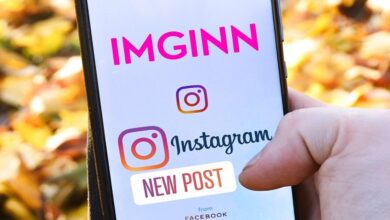 You can download Imginn's Instagram stories and videos here in 2022.